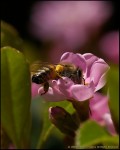 DigitalScape Photography Images